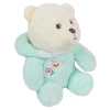Yeşil Peluş Dinazor Ayıcık