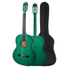 Yetişkin Boy 4/4 Klasik Gitar Seti - Sap Ayarlı