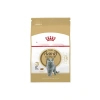Yetişkin British Shorthair Kedi Maması, 2 Kg