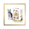 Yetişkin British Shorthair Kedi Maması 2 Kg + 2 Adet Yaş Maması