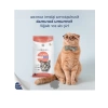 Yetişkin Kedi İçin Somonlu Kuru Mama (10 Kg)