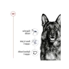 Yetişkin Köpek Konserve Maması | 410g x 12 Adet