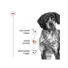 Yetişkin Köpek Maması, 15 Kg
