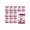 Yetişkin Köpekler İçin Biftekli Yaş Mama 400 Gr x 12 Adet