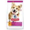 Yetişkin Küçük ve Mini Irk Köpek Maması - Tavuklu, 6 kg