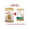 Yetişkin Kuru Köpek Maması - Golden Retriever İçin 12 Kg