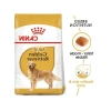Yetişkin Kuru Köpek Maması - Golden Retriever İçin 12 Kg
