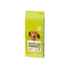 Yetişkin Kuzu Etli Köpek Maması 14 kg