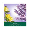 Ylang Ylang Öz Yağı ile Sıvı El Sabunu - 700 ml