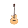 Yüksek Kaliteli Elektro Gitar - AE170-NTR Modeli