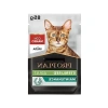 Yüksek Kaliteli Kısırlaştırılmış Kedi Maması - Sığır Etli 85 gr Pouch x 26 Adet