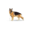 Yüksek Protein İçeren Alman Çoban Köpeği Maması, 11 Kg