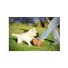 Yumuşak Naylon Köpek Oyun Topu - Küçük Boy