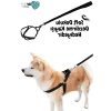 Yumuşak Tabanlı Güvenli Köpek Göğüs Tasması Seti (Tek Beden)