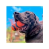 Yüzer Köpek Oyun Topu - Ultra Dayanıklı ve Eğlenceli