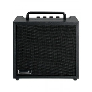 10 Watt Bas Combo Amfi - Yüksek Performans ve Taşınabilirlik
