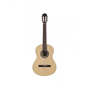 4/4 DNA Klasik Gitar - Zengin Ses Özellikleri