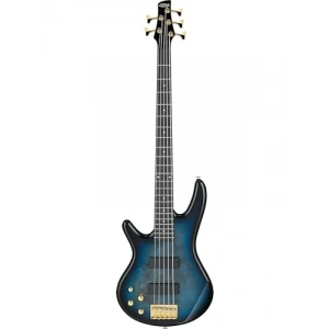 5 Telli Bas Gitar - Yüksek Ses Kalitesi