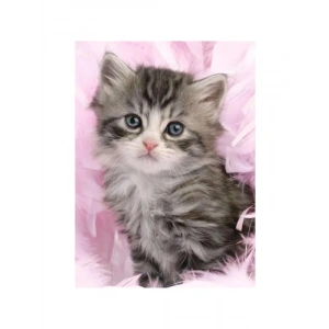 500 Parçalı Yavru Kedi Yapboz, Dayanıklı ve Eğlenceli
