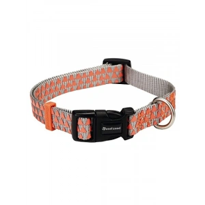 Açık Gri Turuncu Renkli Köpek Boyun Tasması (35-50 cm)