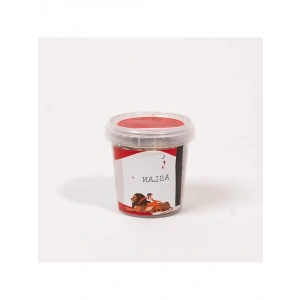 Aslan Burcu Temalı Çim Adam Figürü