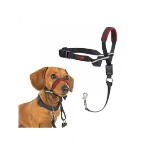 Ayarlanabilir Yansıtıcı Baş Tasması ile Küçük Köpekler için Eğitim Yardımcısı
