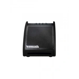 Bluetooth 10 Davul Monitör Amfi (30W)