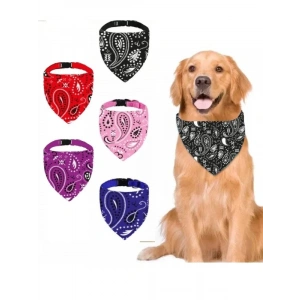 Büyük Boy Köpek Boyun Tasması - Siyah