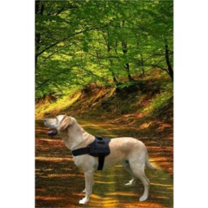 Büyük Irk Köpek İçin Rahat Eğitim Göğüs Tasması