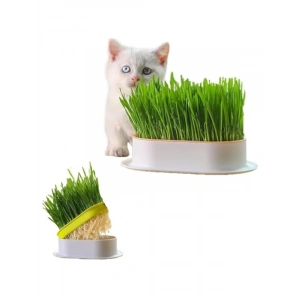 Doğal Kedi Çimi, Tüy Yumağı Önleyici Plastik Kâse ile