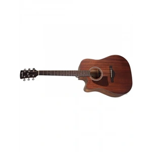 Elektro Akustik Gitar - Artwood Serisi