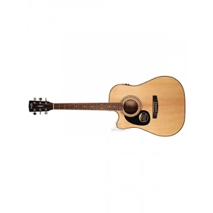 Elektro Akustik Gitar - Kılıflı ve 6 Tel ile