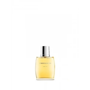 Erkek Parfümü - Ferah ve Dinamik Koku 100 ml