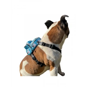 Geri Dönüştürülmüş Malzemeden Su Geçirmez Köpek Sırt Çantası