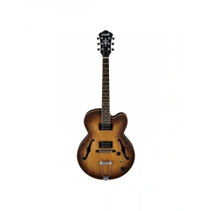 Hallow Body Elektro Gitar