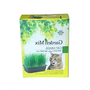 Kedi Çimi Kutu - Kahverengi, Doğal ve Taze