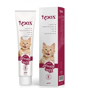 Kedi Deri ve Tüy Sağlığı İçin Biyotin, Çinko ve Omega 3 Macunu - 100 gr