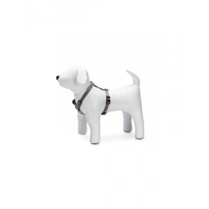 Kilitli Göğüs Tasma, XS, 25-40 cm, Gri Renk