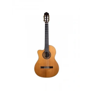 Klasik Gitar Eklentisi - Reguis CEQ Elk.