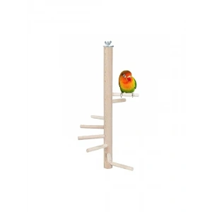 Kuş Tüneği ve Merdiveni - 30 cm Boyunda