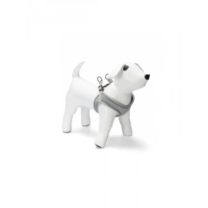 Neopren Köpek Göğüs Tasması, Yeşil, S Boy, 38-44 cm Ayarlanabilir