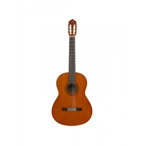 Profesyonel Klasik Gitar - Ladin Üst, Meranti Arka ve Yanlar
