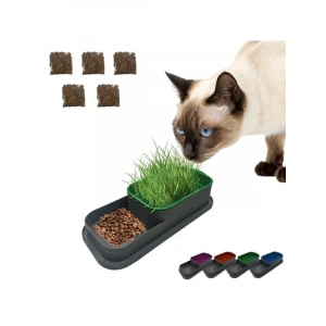Topraksız Kedi Çimi Kabı - 5 Paket Çim Tohumlu Hidroponik Set