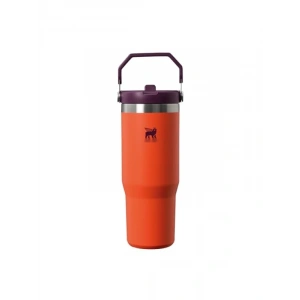 Turuncu/Mürdüm Pipetli Termos Bardak, 0.89 Litre Yalıtımlı