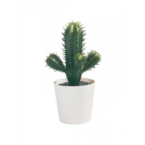 Yapay Kaktüs Bitkisi, 6 cm, İç/Dış Mekan Kullanımı