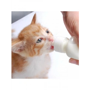 Yavru Kedi ve Köpekler İçin 50 ml İki Emzikli Biberon