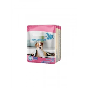 Yüksek Emici Kokusuz Köpek Çiş Pedi - 90x60 cm, 10lu