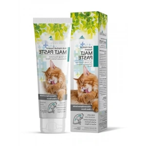 Yüksek Kaliteli Anti Hairball Kedi Malt Macunu 100 Gram