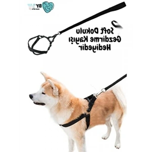 Yumuşak Tabanlı Güvenli Köpek Göğüs Tasması Seti (Tek Beden)