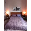 Arnay Çift Kişilik Doğal Yün Yorgan Ve Yastık Takımı - Mor